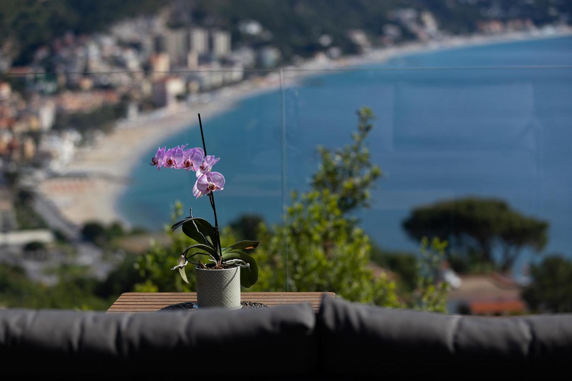 ノーリ Spettacolare Vista Isola Terrazza E Idromassaggioヴィラ エクステリア 写真